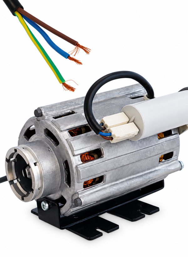 Motore 150W pompa rotativa a palette